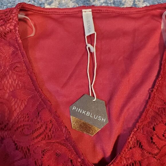 Pink Blush Lace Maternity Dress NWT Medium - Picture 5 of 8